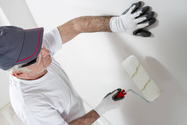 Professional Dry wall and painting in Tamalpais Homestead Valley, CA